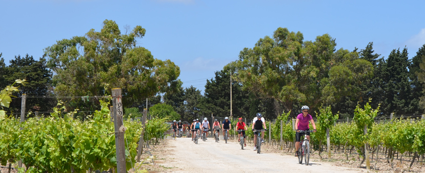 Cykelferie på Malta Med Guide